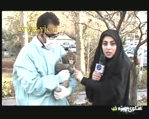 iran monkey