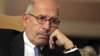 ElBaradei not appointed PM