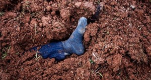 Syrian Army Discovers Mass Graves in Old Homs City