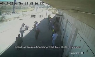 palestine