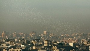 Israeli regime urges Gazans to evacuate their homes