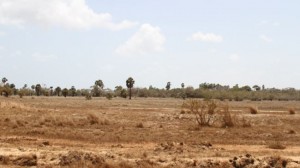 374113_Sri-Lanka-drought