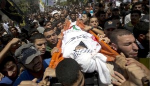 Gaza death toll rises to 352 martyrs