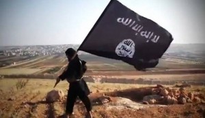 ISIL commander killed in Syrian army operation: report
