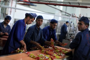 Palestinian employees work at al- Awda ice cream factory