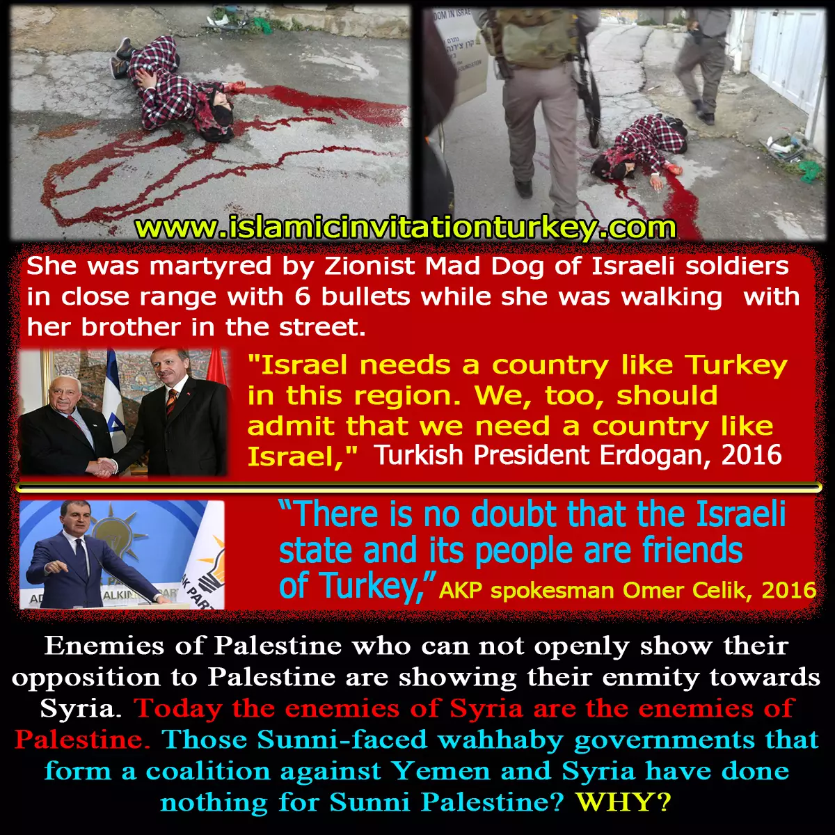 PURE ZIONISTS