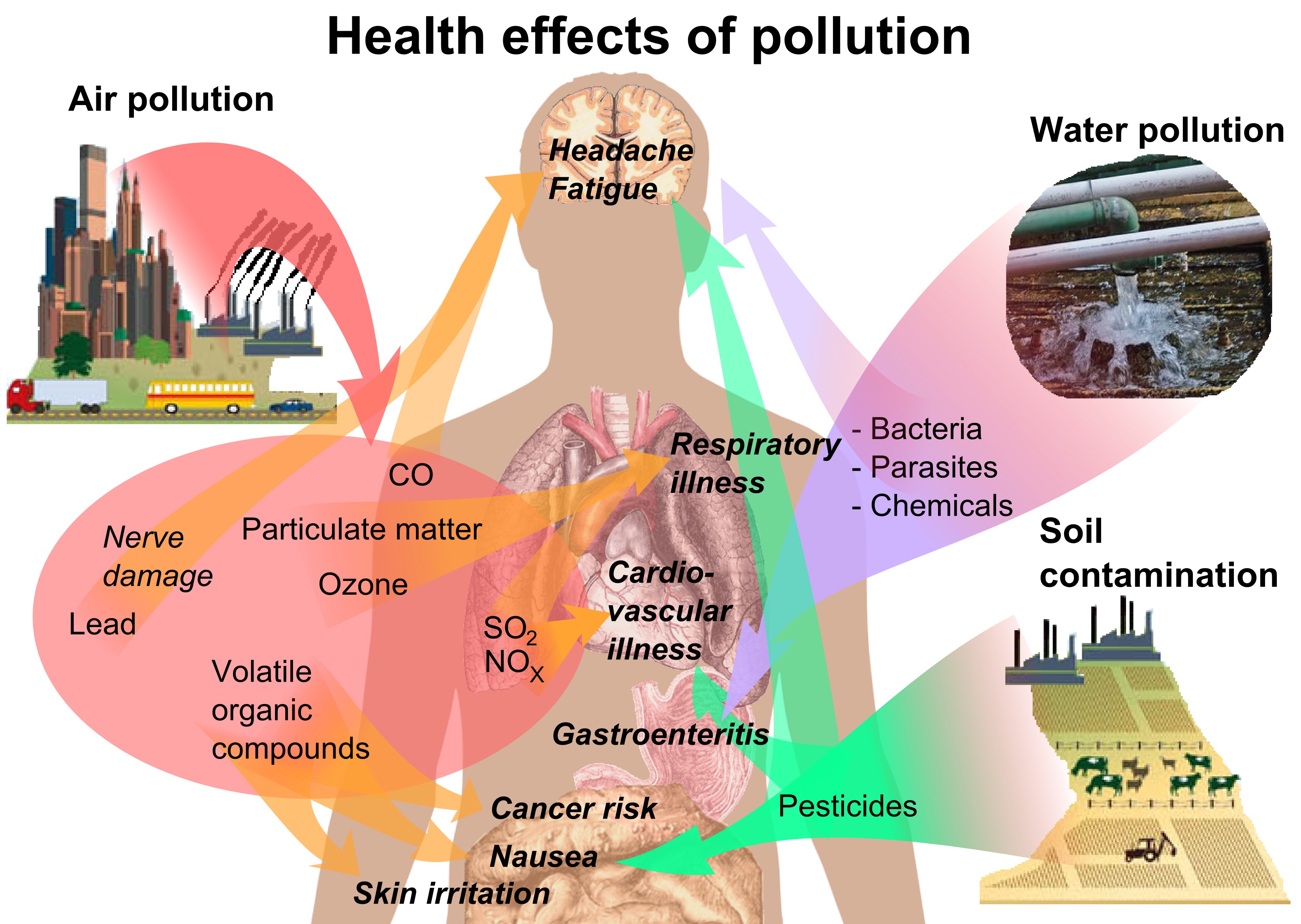 Health_effects_of_pollution