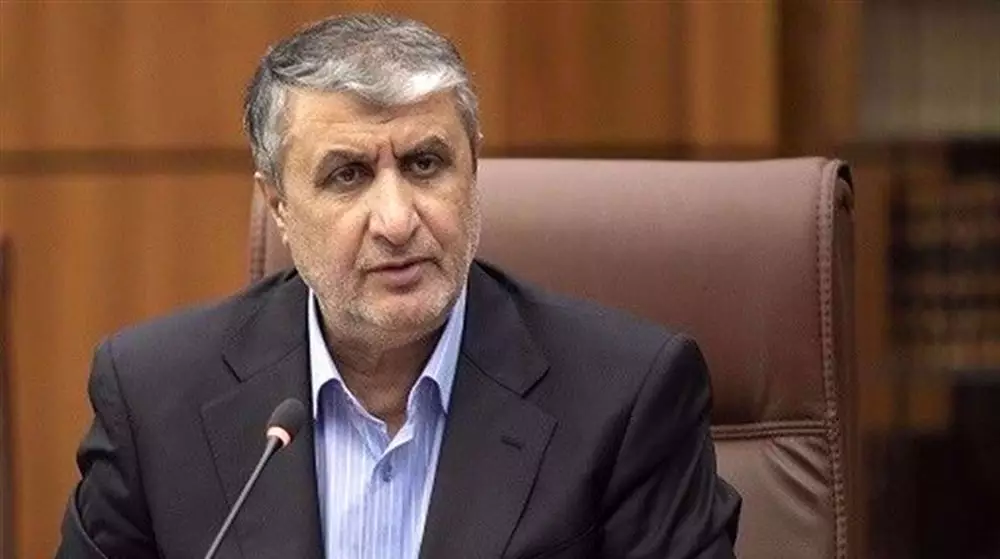 Iran's Nuclear Facility Strikes Reveal 'Law of Jungle,' Says Atomic Chief